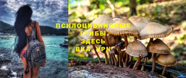 прущая мука Майский